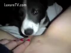 Fearless An 18-year-old newbie exposes her legs and acts like a beast.
